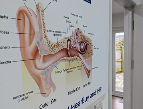 Signs Your Elderly Parent May Be Struggling to Hear: 7 Things to Watch For