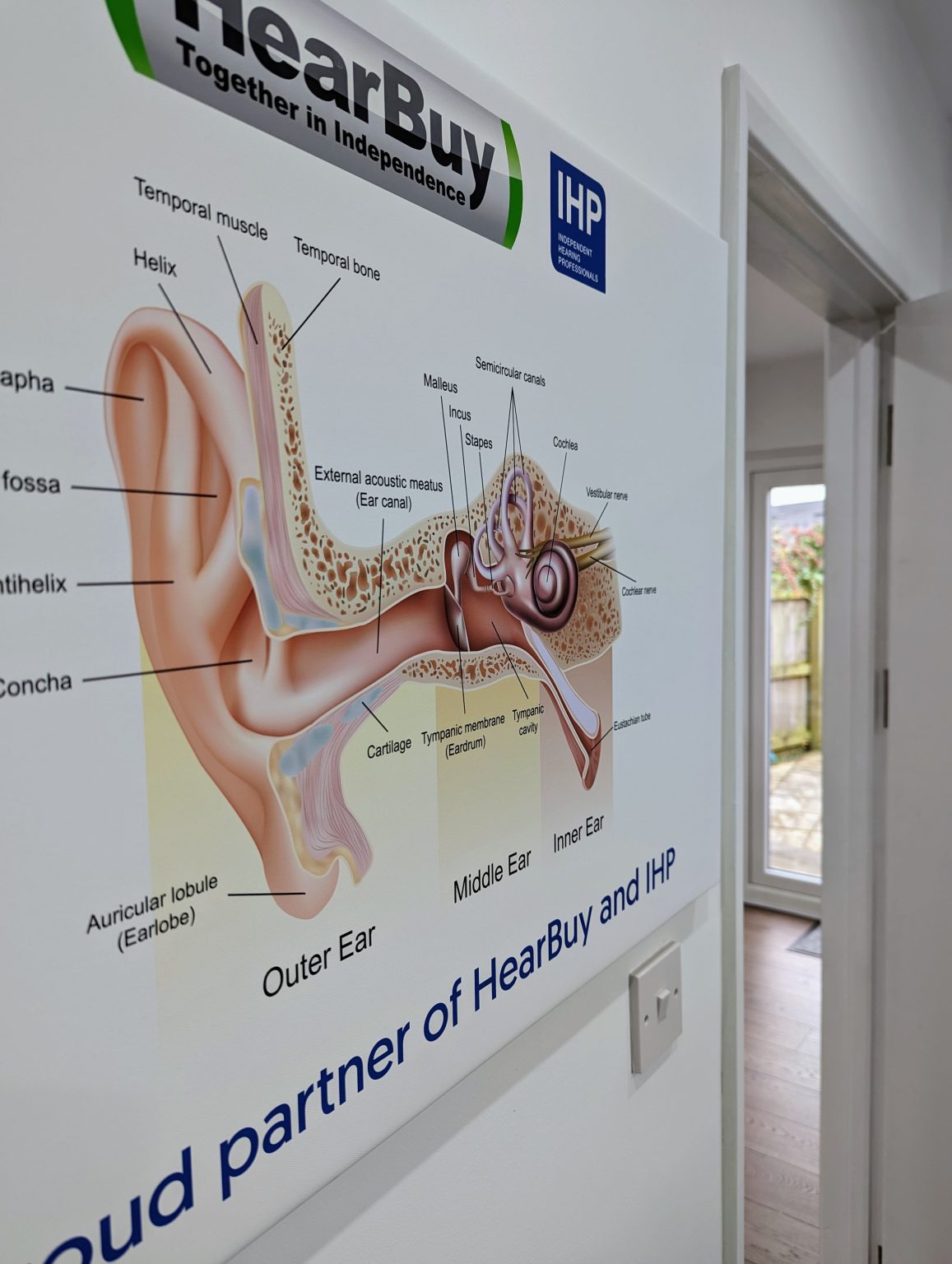 Signs Your Elderly Parent May Be Struggling to Hear: 7 Things to Watch For, Hearing Aid Solutions